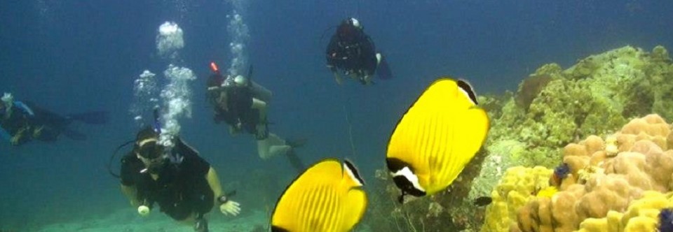Ocean Sound (dive+yoga)