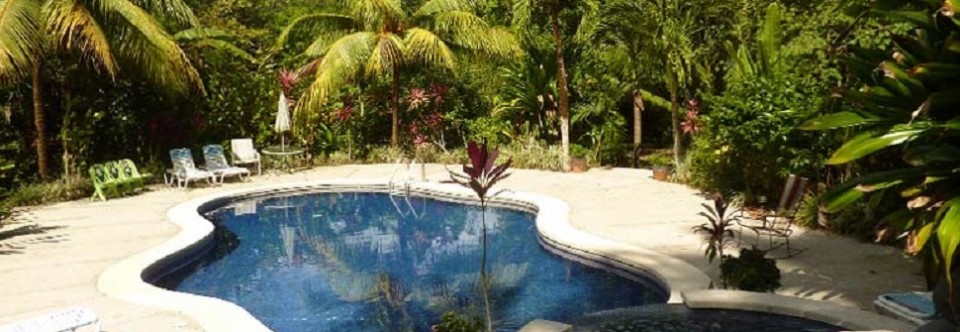 Star Mountain Jungle Lodge