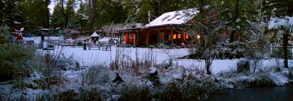 Tofino Botanical Gardens